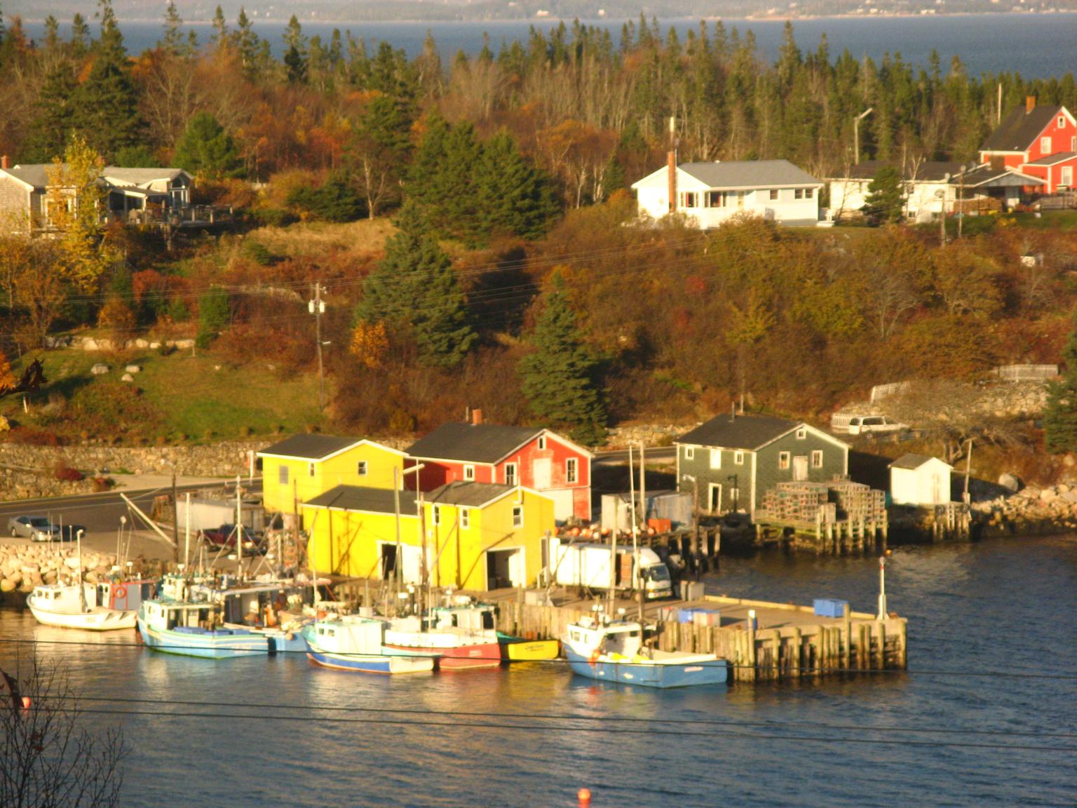 Northwest-Cove-2a.jpg