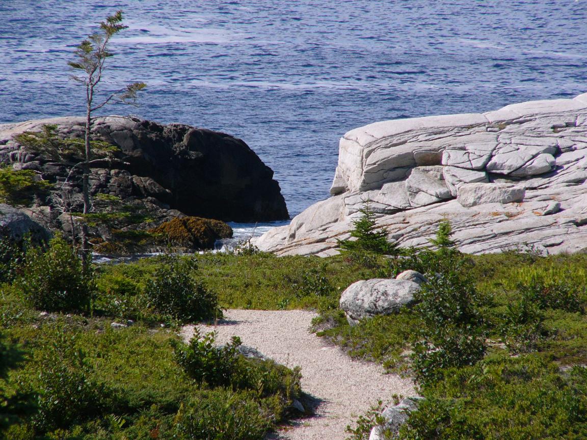 White-Point-1a.jpg